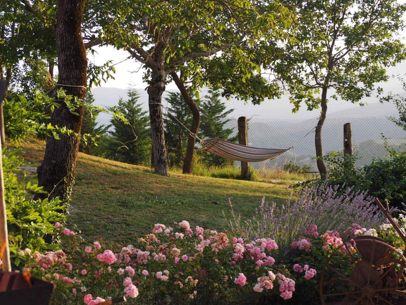 Agriturismo Il Castellaro Sassoferrato Exterior photo